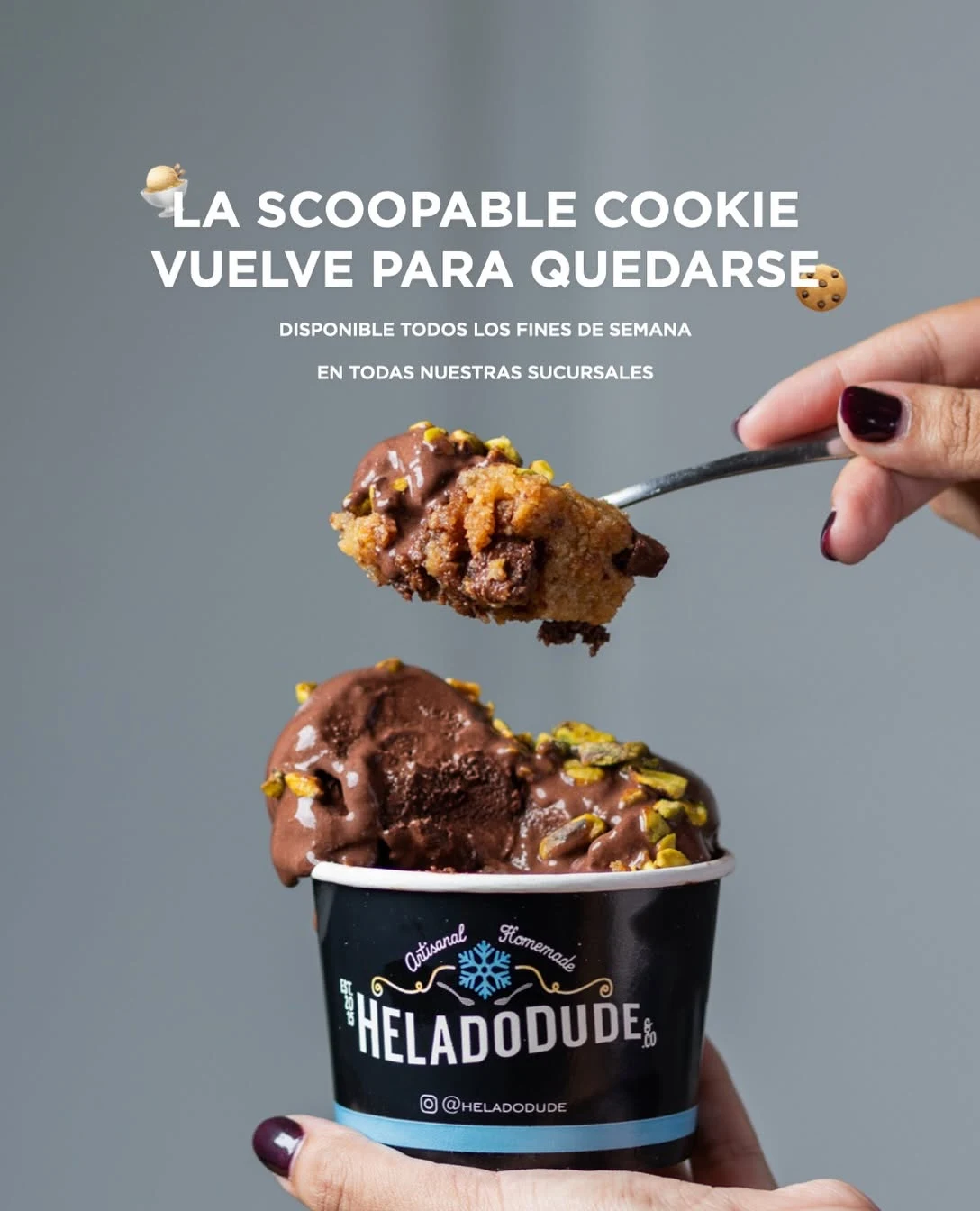 Scoopable Cookie y helado de chocolate en un vaso HeladoDude